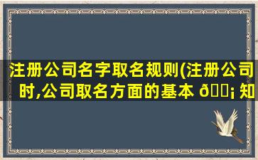 注册公司名字取名规则(注册公司时,公司取名方面的基本 🐡 知识)